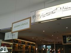 -维也纳国际机场