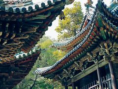 -晋祠公园