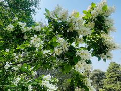 -国家植物园南园