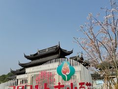 -苏州上方山国家森林公园