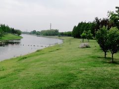 -羊亭河湿地公园