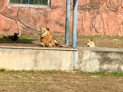 -无锡动物园·太湖欢乐园