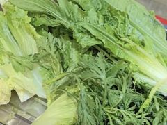 -金鼎雪山牦牛杂火锅(理县总店)