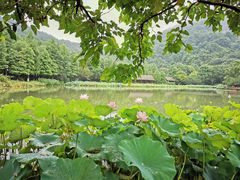 -铭莲·八卦田水上餐厅