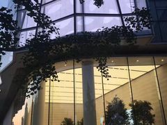 -Apple零售店(济南恒隆广场店)