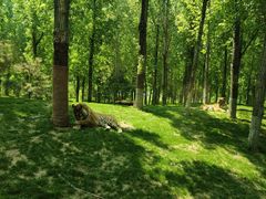 -北京野生动物园