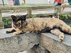 -西园戒幢律寺