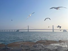 -星海广场