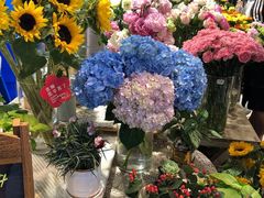 -Libra Flora花店(骆岗中央公园店)