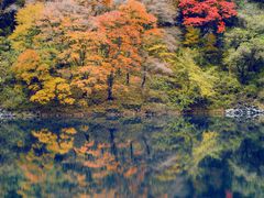 -叠溪松坪沟景区