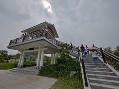 -王借岗森林公园