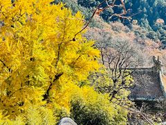 -潭柘寺景区