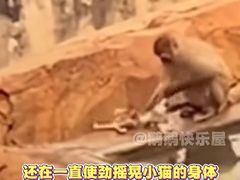 -昆明动物园
