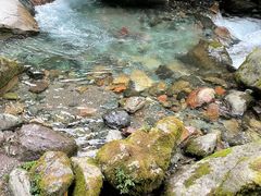 -西岭雪山大飞水景区