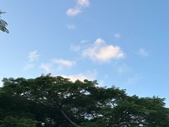 -布里斯班南岸公园