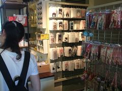 -猫咪博物馆(顶澳仔猫街店)