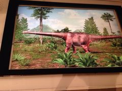 -墨尔本博物馆(Melbourne Museum)