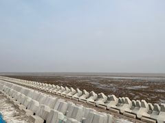 -南汇嘴观海公园