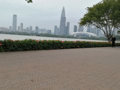 -深圳湾公园(南山区)
