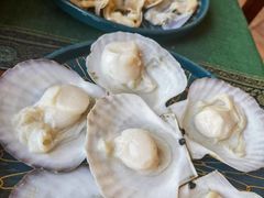 -火舞泰·泰式海鲜火锅餐厅(世纪城店)