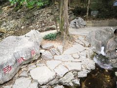 -皇藏峪国家森林公园
