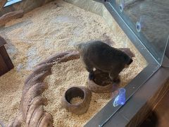 -昆明大悦城未来动物城(螺蛳湾中心店)
