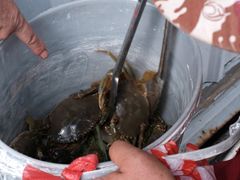-西门岛码头海鲜馆