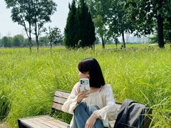 -汉长安城未央宫国家考古遗址公园