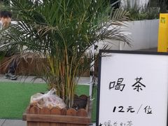 -南山植物园