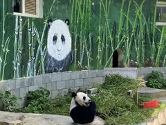 -南昌动物园