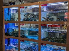 -石锅苗苗鱼(武汉首店)