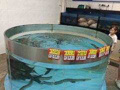 -鲤鱼塘农家山庄