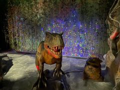 -多彩贵州城极地海洋世界