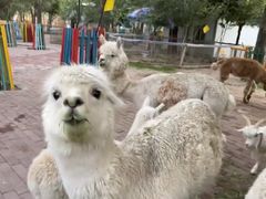 -水上乐园·欢乐世界