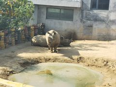 -西霞口神雕山野生动物世界