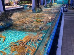 -驻海渔市(置信店)