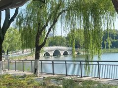 -武汉动物园