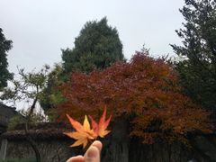 -上海方塔园