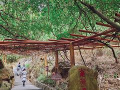 -大雁山风景区