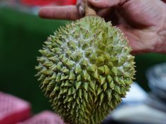 -Ah Hung D24 Sultan Durian