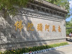 -大槐树寻根祭祖园