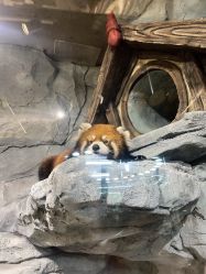 -Zoolung Zoolung动物主题公园(海信广场店)