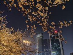 -西北湖绿化广场