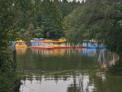 -东平国家森林公园