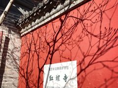 -红螺寺