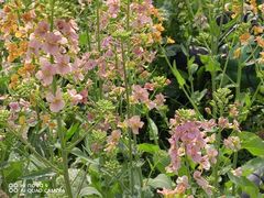 -中国天府农业博览园