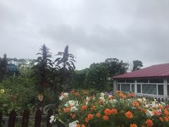 -湿地人家坑烤