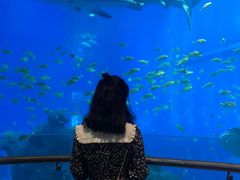 -成都浩海立方海洋公园