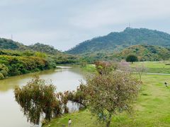 -风云岭森林公园