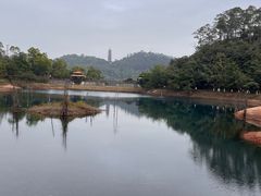 -大雁山风景区